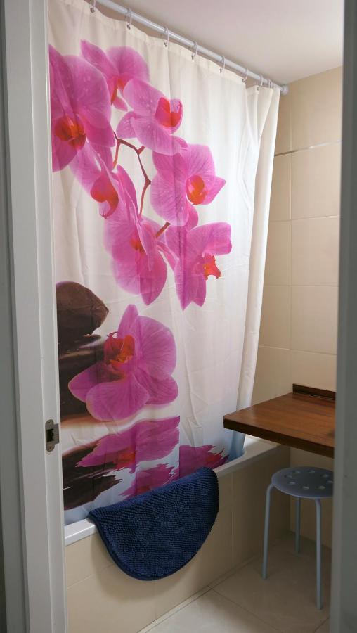 Apartament Ramon A Pobla Pobla de Segur Buitenkant foto